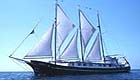 Alta Galapagos Cruise official website