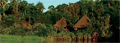 Sani Lodge Ecuador Amazon Rainforest