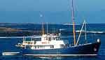 Samba Galapagos motor yacht cruise official website